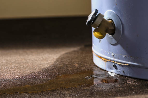 Best Water damage restoration near me  in Jamestown, OH