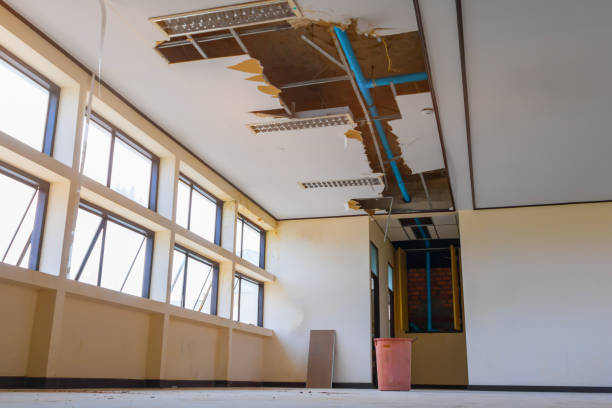Best 24/7 water damage repair  in Jamestown, OH