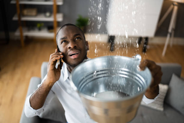 Best Sewage cleanup and water damage restoration  in Jamestown, OH