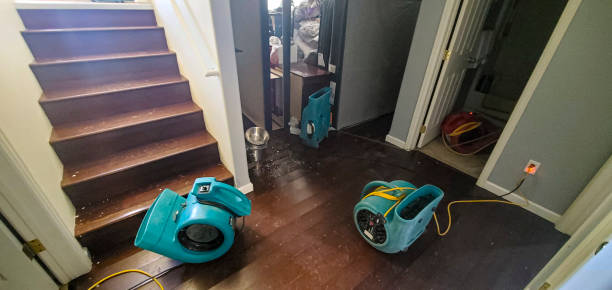 Best Flood restoration services  in Jamestown, OH