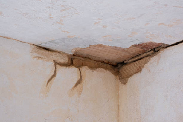 Best Fire Damage Restoration  in Jamestown, OH
