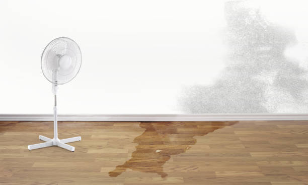 Professional Water damage restoration in Jamestown, OH