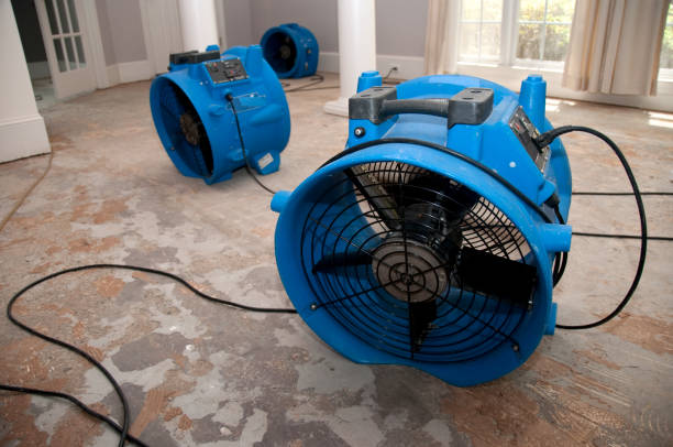 Best 24-hour water damage restoration  in Jamestown, OH