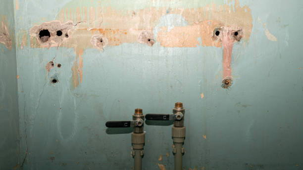 Best Water damage contractors near me  in Jamestown, OH