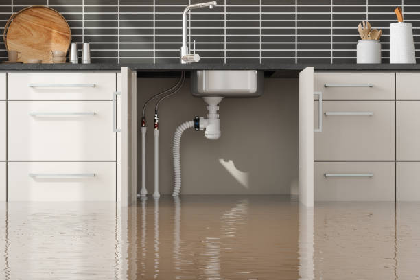 Best Commercial water damage restoration  in Jamestown, OH