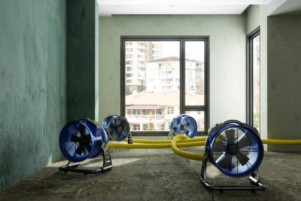 Best Sewage cleanup and water damage restoration  in Jamestown, OH