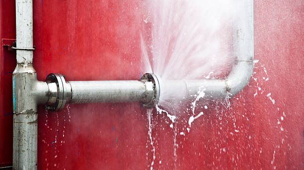 Best Carpet water damage restoration  in Jamestown, OH