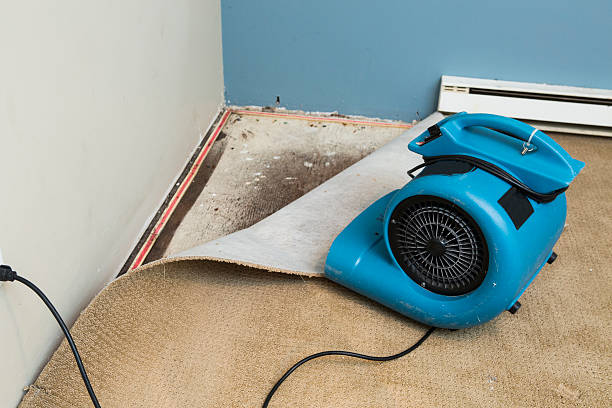 Best Water damage restoration company  in Jamestown, OH